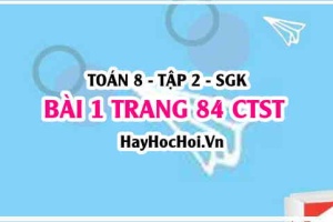 Bài 1 trang 84 Toán 8 Tập 2 Chân trời sáng tạo